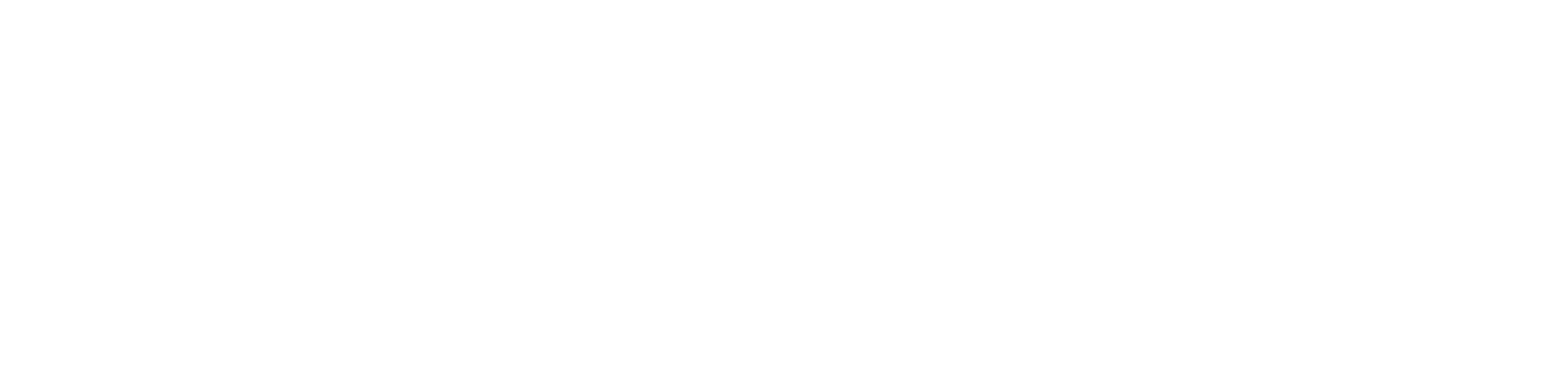 Weißer Text auf schwarzem Hintergrund: NAOMI BEN in großen, eleganten Großbuchstaben - perfekt für eine Hochzeitssängerin in Zürich oder irgendwo in der Schweiz.